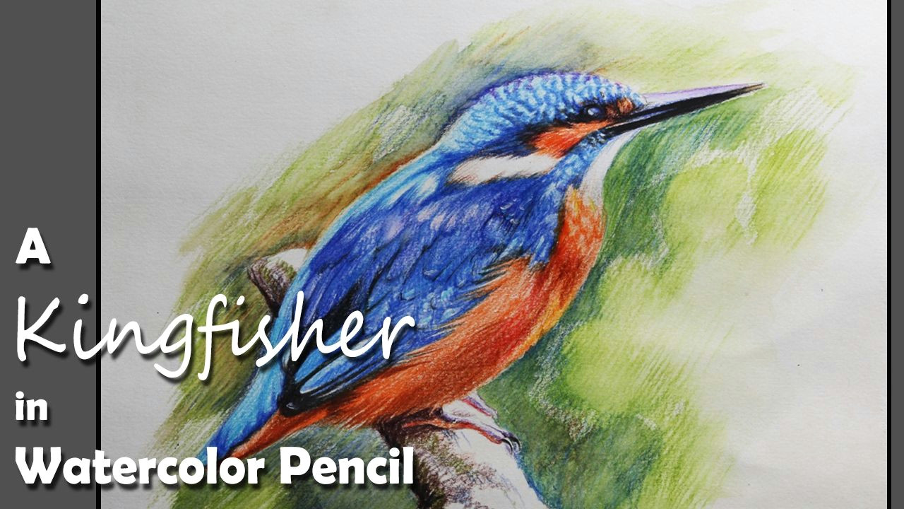 Easy Watercolor Pencil Drawings How to Paint A Kingfisher In Watercolor Pencil Youtube In