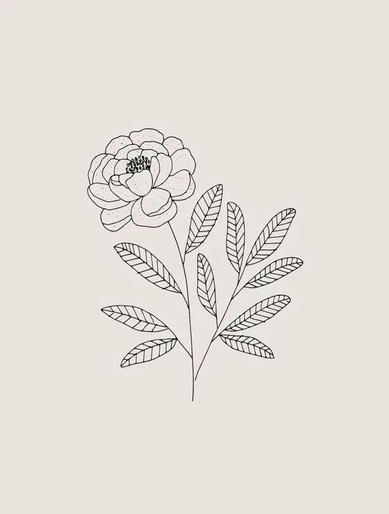 Easy Way to Draw A Flower 30 Ways to Draw Plants Leaves Post Your Blog Bloggers