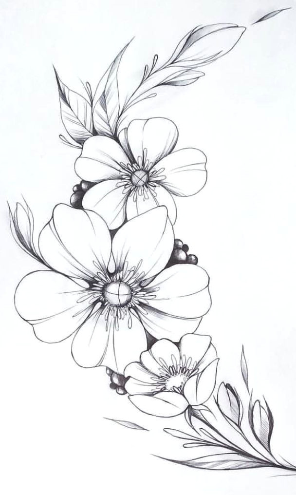 Easy Way to Draw A Flower Floral Lettering Flower Art Drawing Flower Line Drawings