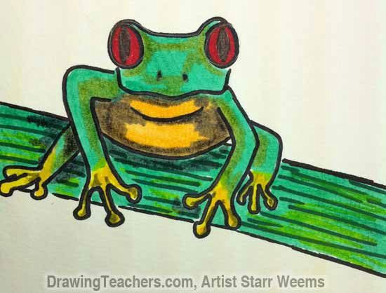 Easy Way to Draw A Frog How to Draw A Tree Frog Tree Frogs Frog Art Drawings