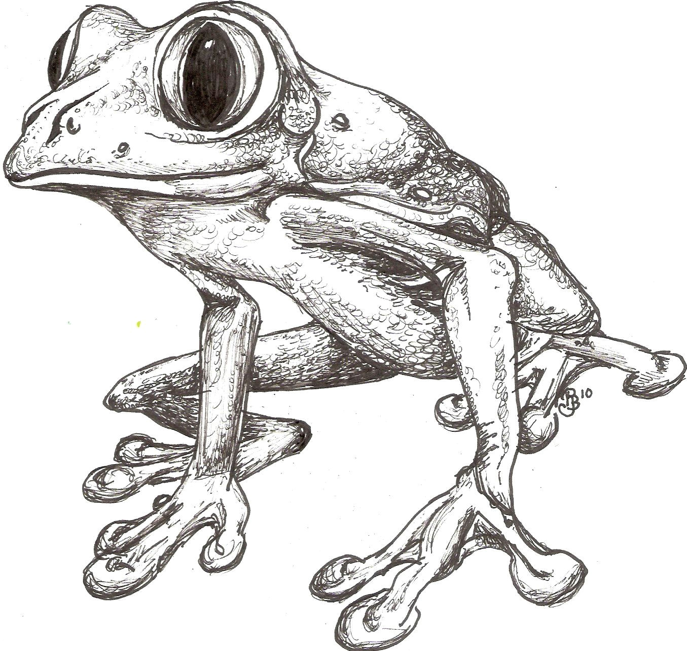 Easy Way to Draw A Frog Pin On My Art