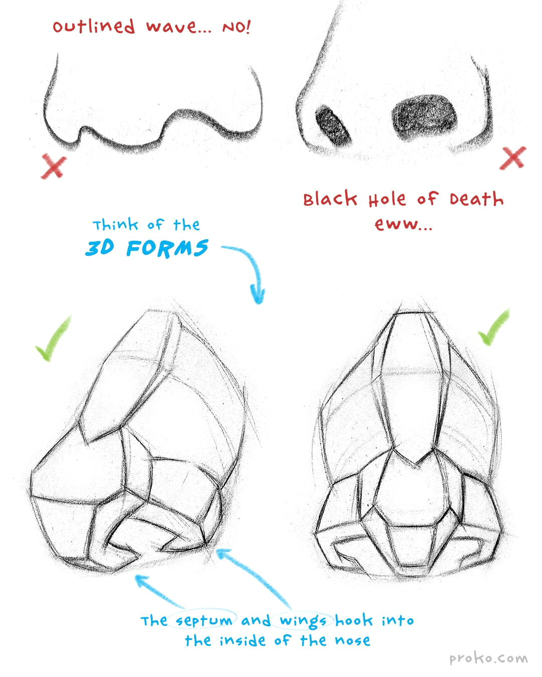 Easy Way to Draw A Nose How to Draw A Nose Anatomy and Structure Nose Drawing