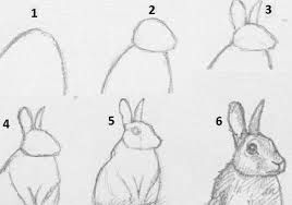 Easy Way to Draw Animals Image Result for How to Draw Realistic Animals Step by Step