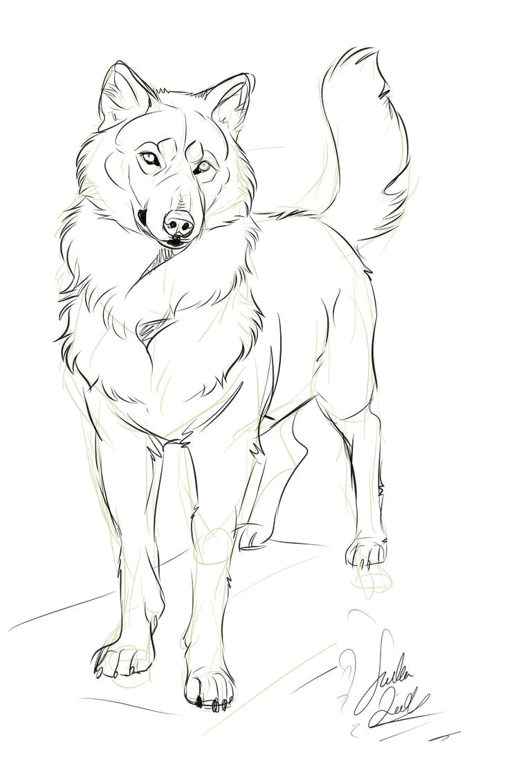 Easy Werewolf Drawing Charming Wolf by themysticwolf Art Catalog In 2019