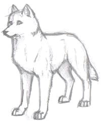 Easy Werewolf Drawing Image Result for Easy Wolf Pencil Drawings Animal Drawings