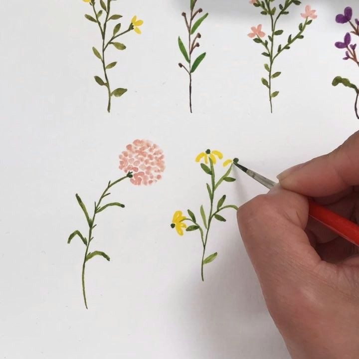 Easy Wildflower Drawing Dainty Wildflowers A tools Watercolor Art Easy Flower