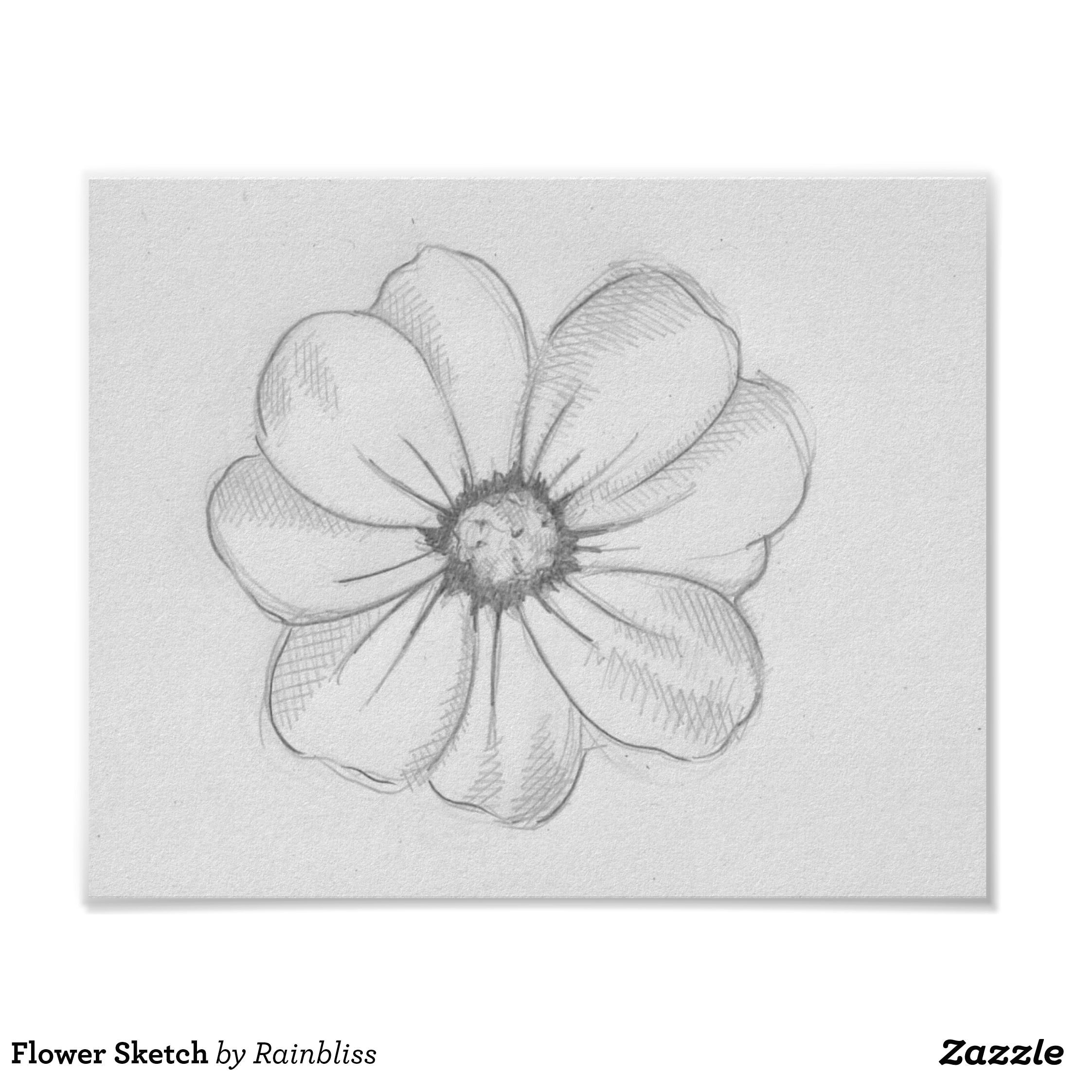 Easy Wildflower Drawing Flower Sketch Poster Cute Flower Drawing Realistic Flower