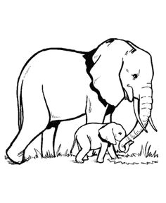 Elephant Drawing Easy with Colour 11 Best Cute Baby Elephant Coloring Pages Images Elephant