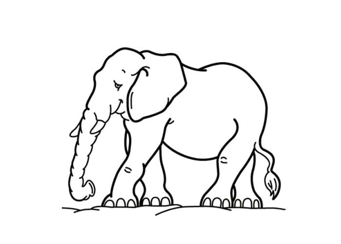 Elephant Drawing Easy with Colour Elephant Pictures to Color Animal Coloring Pages Kids