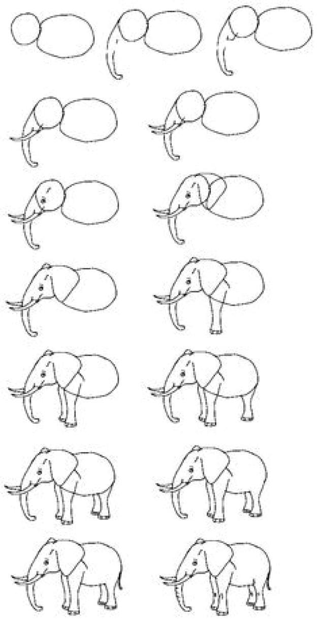 Elephant Eyes Drawing Easy African forest Elephant Drawing Africanelephant Dali