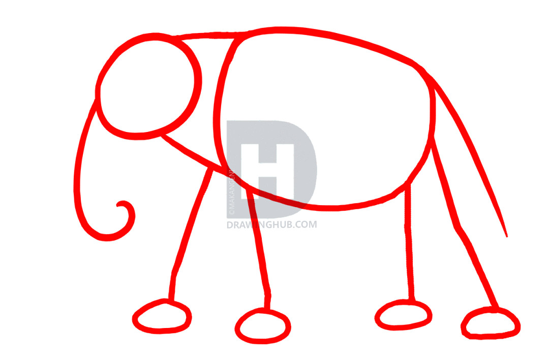 Elephant Eyes Drawing Easy How to Draw Elephants Step by Step Drawing Guide by