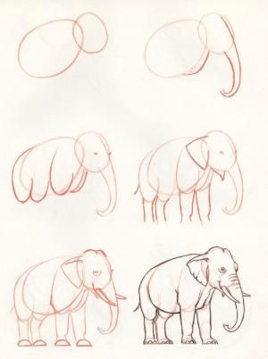 Elephant Pictures Easy to Draw How to Draw An Elephant by Divonsir Borges Drawings Art