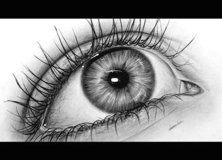 Eye and Eyebrow Drawing Easy Eye Drawing Tutorial Step by Step Pencil 63 Ideas Drawing