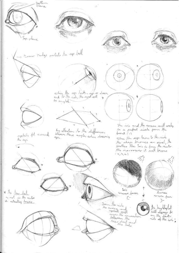 Eye Structure Drawing Easy Learn to Draw Eyes Eye Drawing Tutorials Realistic