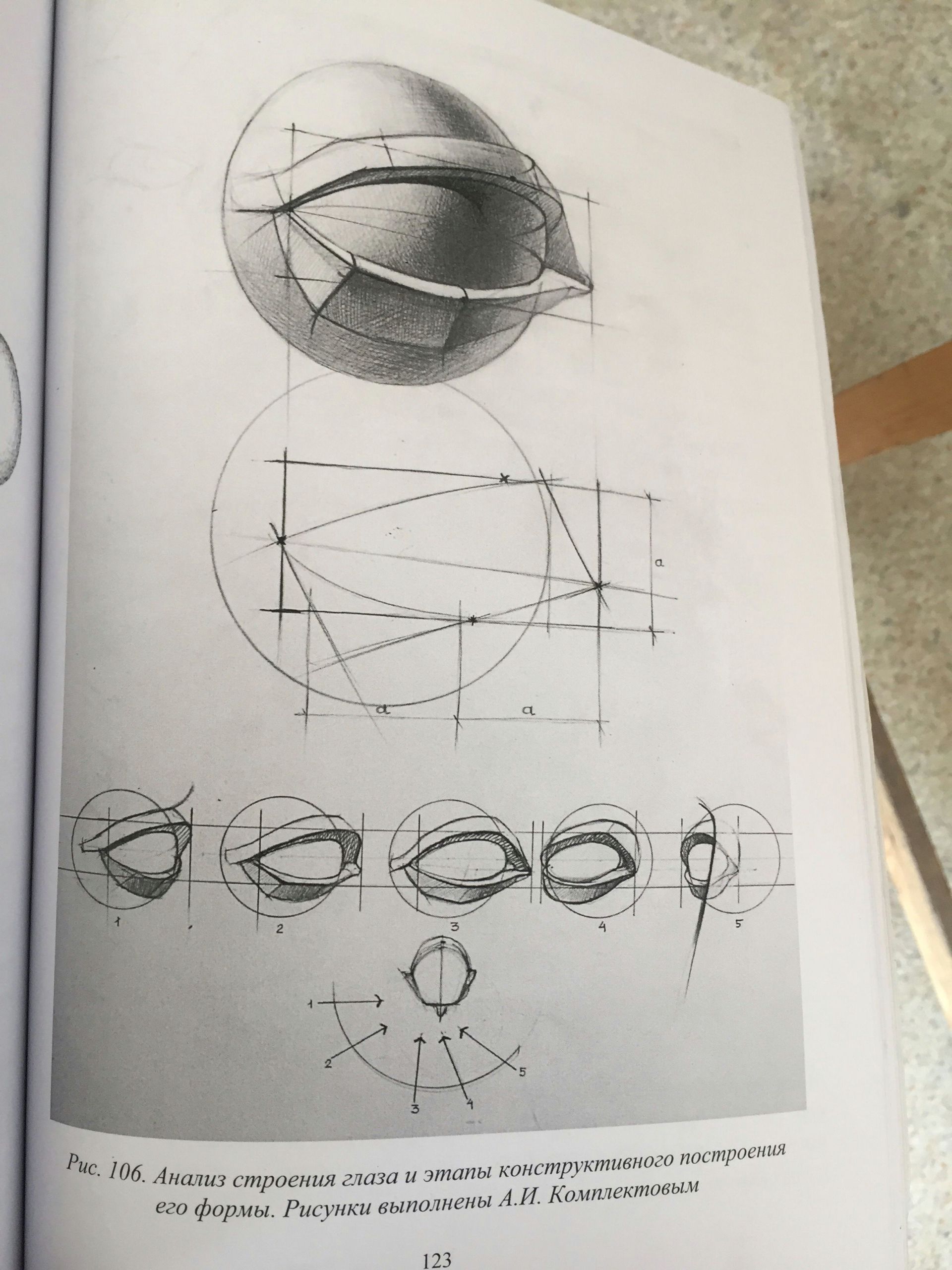 Eye Structure Drawing Easy Pin by Kendall Thompson On Drawing Instruction In 2020