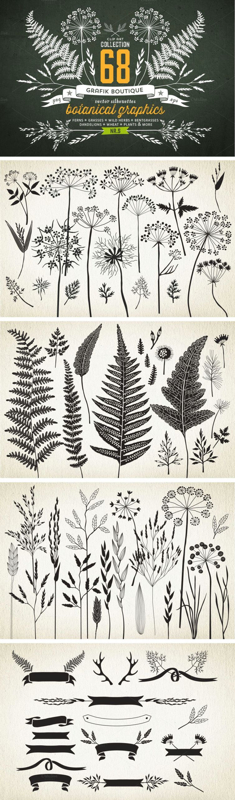 Fern Drawing Easy Botanical Element Illustrations Idea Try Printing to