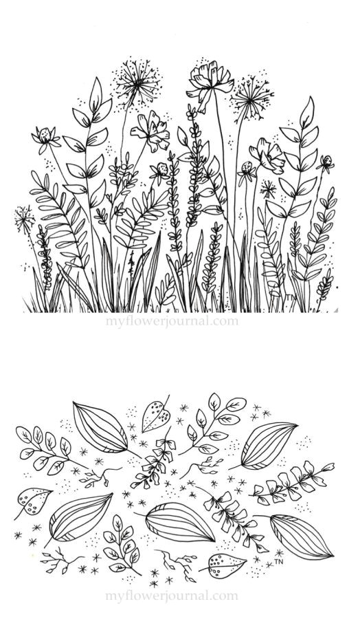 Field Drawing Easy Botanical Line Drawings and Doodles Easy Doodle Art