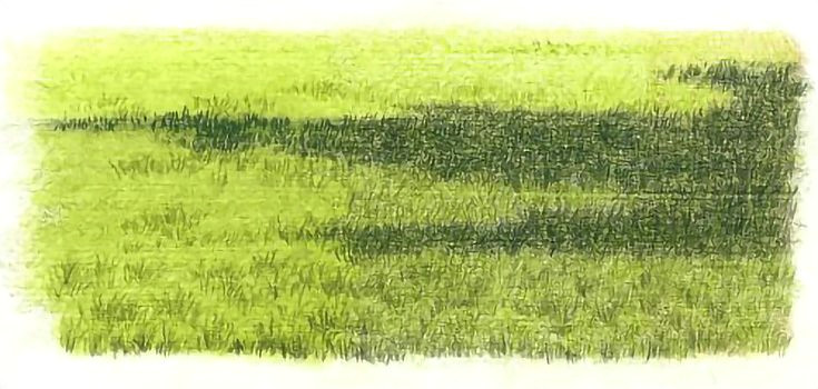 Field Drawing Easy Draw Realistic Grass In 4 Simple Steps Here S How Art
