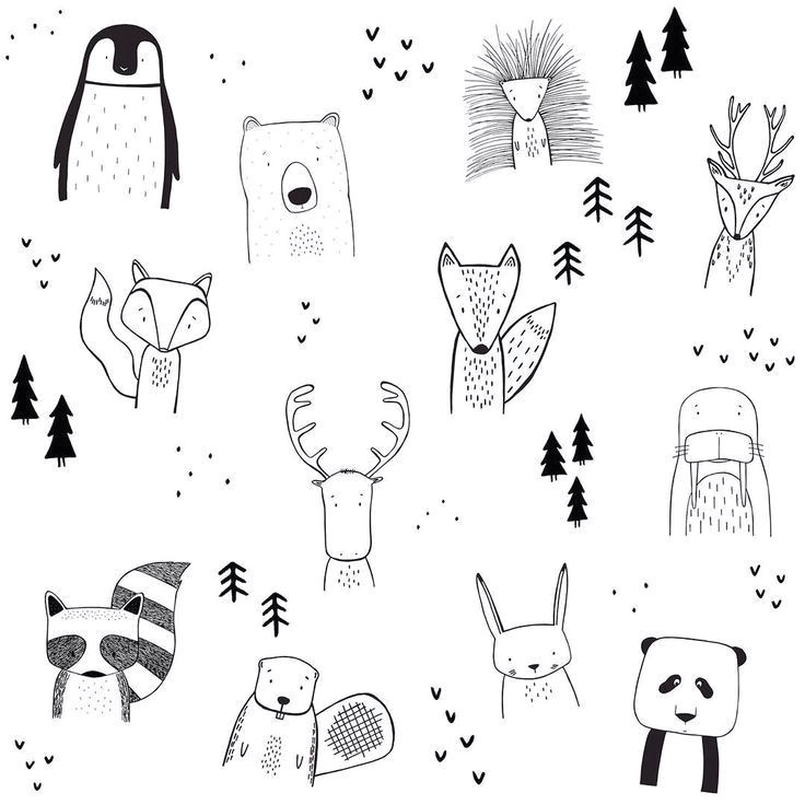 Forest Animals Drawing the Wild Kids Apparel Doodle Drawings Drawings Animal