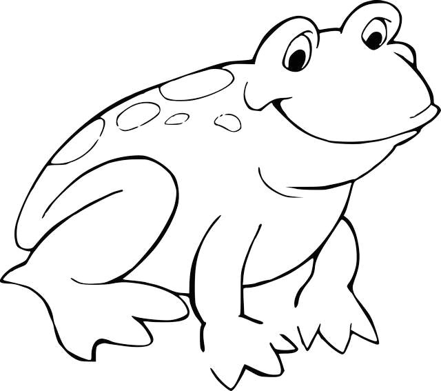 Froglet Drawing Easy Drawing Blog Blog About Drawing Design and Colors