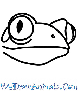 Froglet Drawing Easy How to Draw A Tree Frog Face