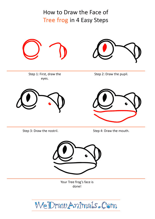 Froglet Drawing Easy How to Draw A Tree Frog Face