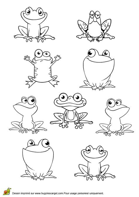 Froglet Drawing Easy La Citrouille Chansons Pour Enfants Plus Drawings Frog