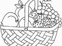 Fruit Basket Drawing Easy Step by Step 11 Best Fruit Basket Drawing Images Basket Drawing Fruit