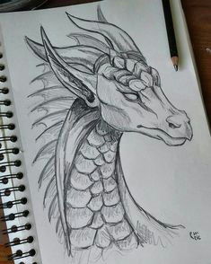 Full Body Dragon Drawing Easy 92 Best Dragon Drawings Images Dragon Dragon Art Drawings