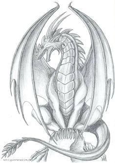 Full Body Dragon Drawing Easy 967 Best Dragon Drawings Images Dragon Drawings Dragon Art