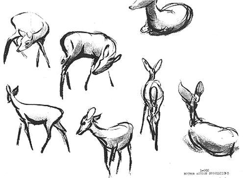Gesture Drawings Of Animals Bambi Deer Studies Animal Drawings Animal Sketches