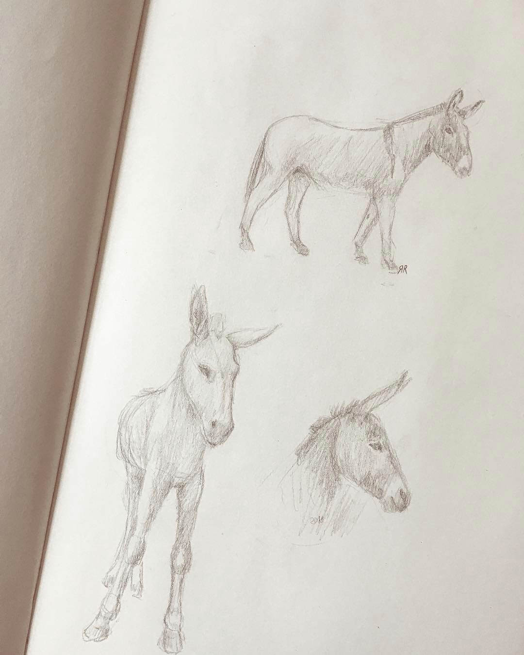 Gesture Drawings Of Animals Drawing Dailydrawing Pencildrawing Animals Art4share