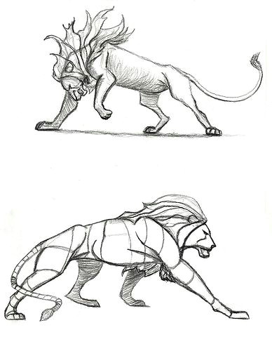Gesture Drawings Of Animals Lion10 Lion Sketch Animal Drawings Drawings