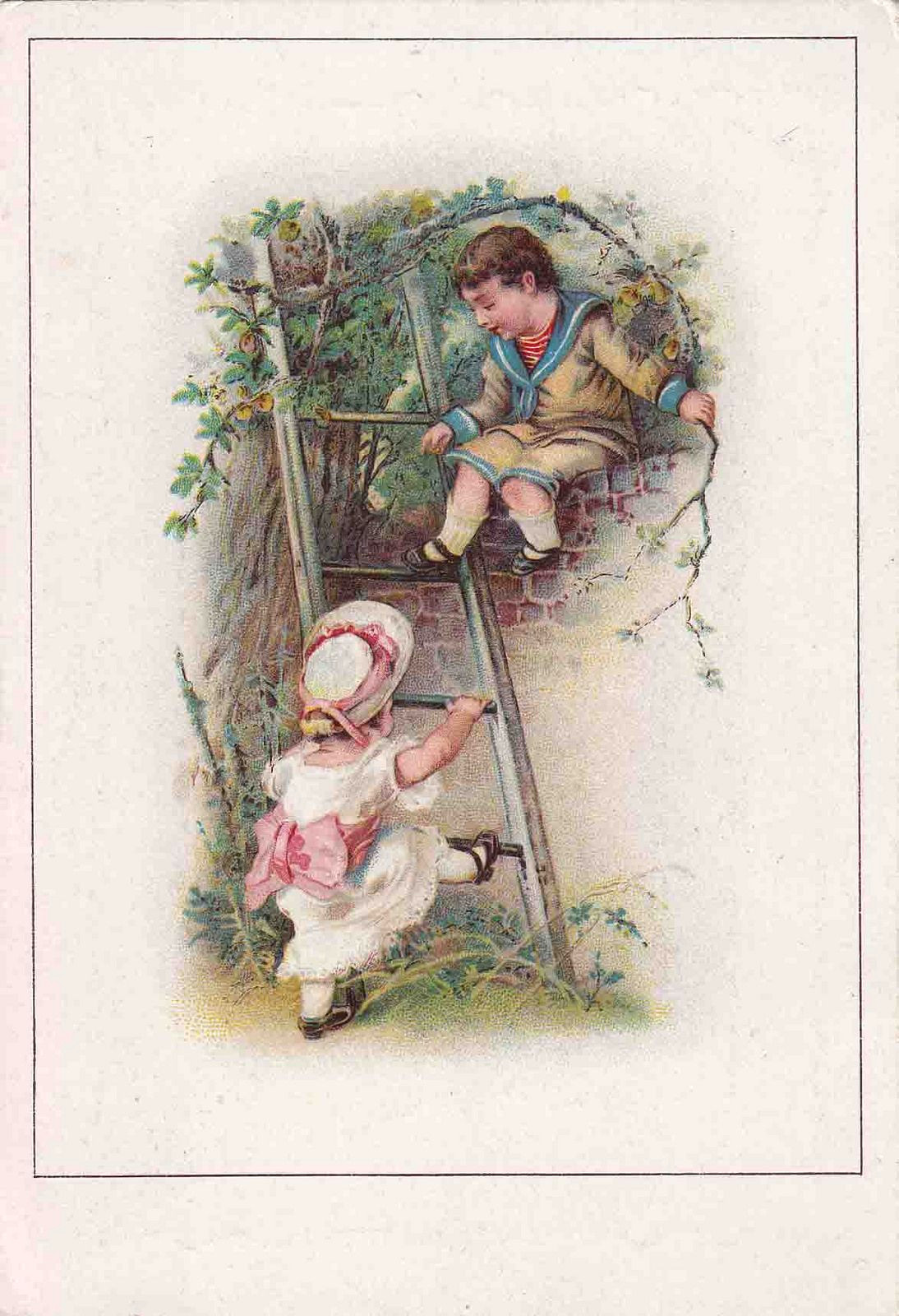 Girl Climbing Tree Drawing Chromo Compagnie Anglaise Laubadere Nantes Boy Sitting On