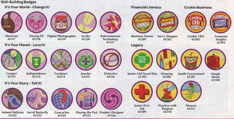 Girl Scout Juniors Drawing Badge Requirements Pdf Junior Badges Scouts Honor Wiki Fandom