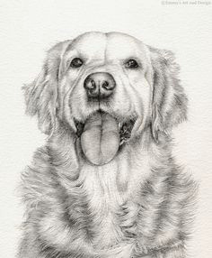 Golden Retriever Drawing Easy 46 Best Golden Retriever Drawings Images Drawings Golden