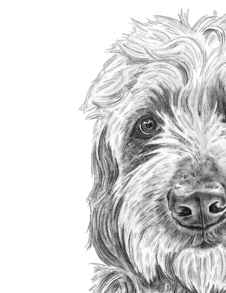 Goldendoodle Drawing Easy Goldendoodle Art Dog Art Golden Doodle Art Labradoodle