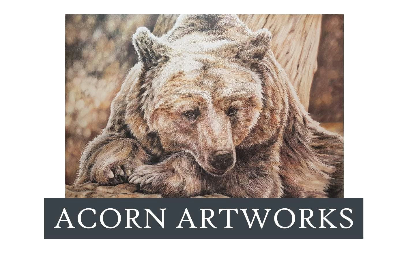 Grizzly Bear Drawing Easy Acorn Artworks Grizzly Bear Tutorial In Coloured Pencil