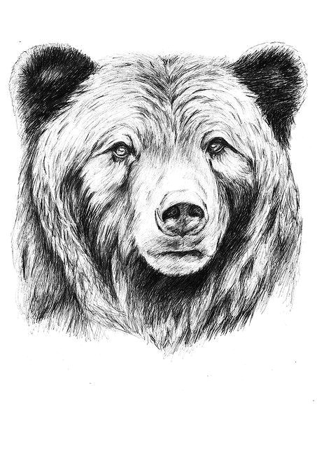Grizzly Bear Drawing Easy Grizzly Bar Zeichnung Bar Tattoos Baren Tattoo