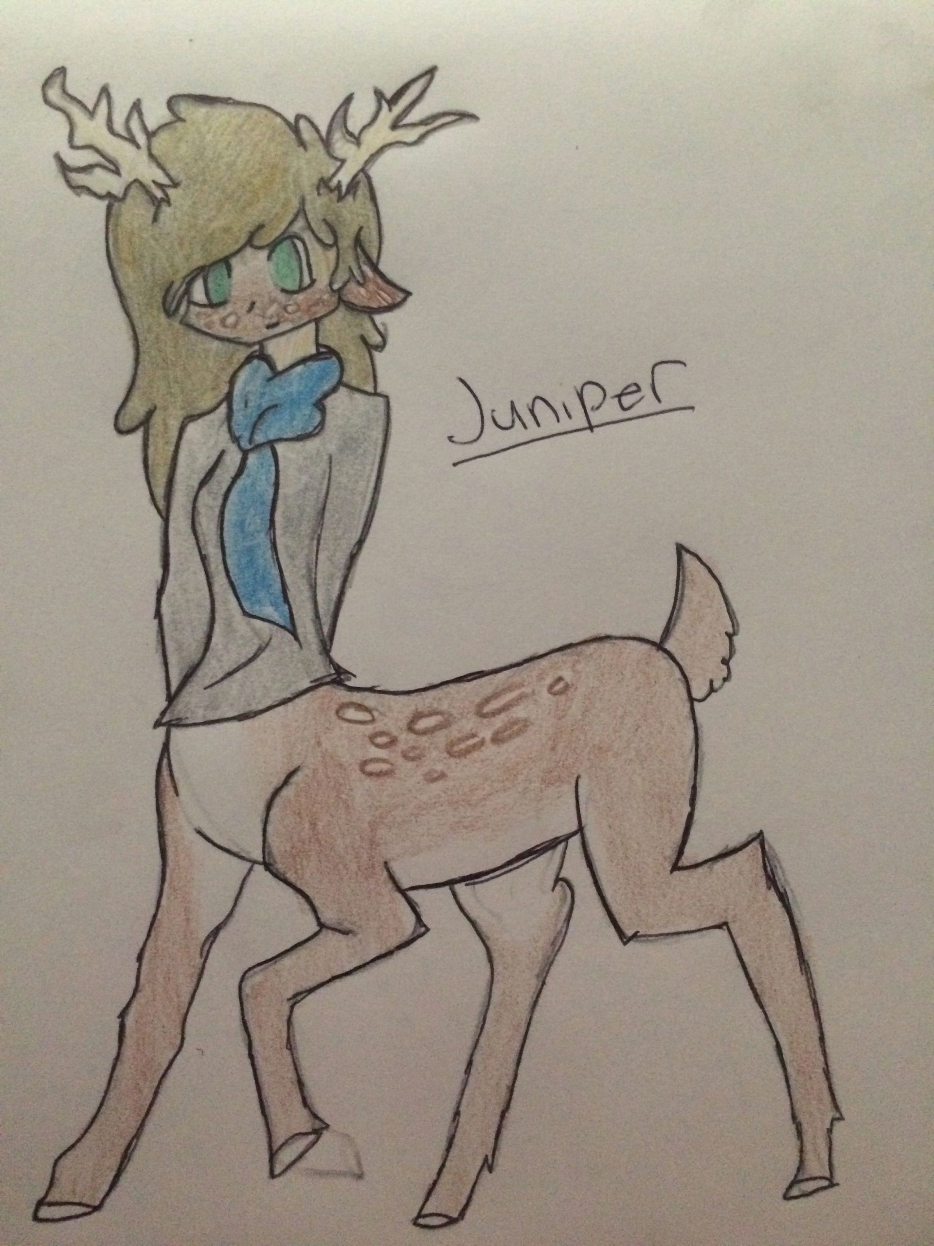 Half Animal Half Human Drawing This is My Persona Juniper Juniper is A Half Human Half