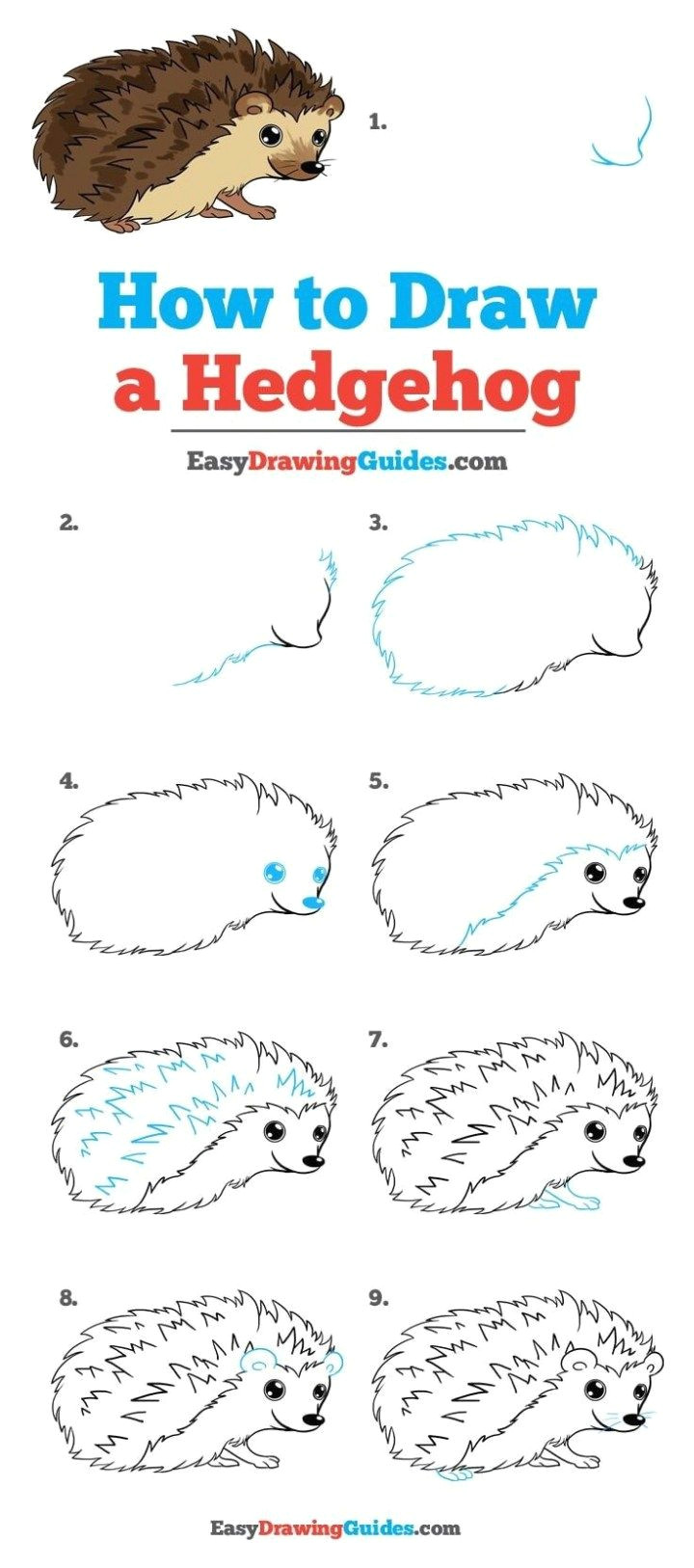 Hedgehog Drawing Easy 10 Cartoon Animal How to Drawings Drawing Tutorials for