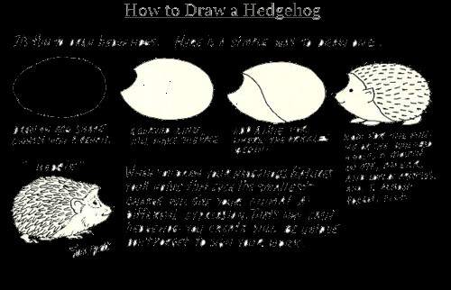 Hedgehog Drawing Easy How to Draw A Hedgehog Hedgehog Drawing Hedgehog Drawings