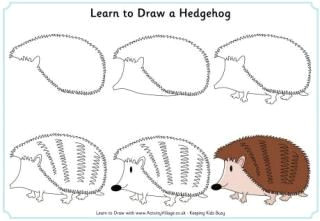 Hedgehog Drawing Easy Learn to Draw A Hedgehog Carly In 2019 Drawing Lessons
