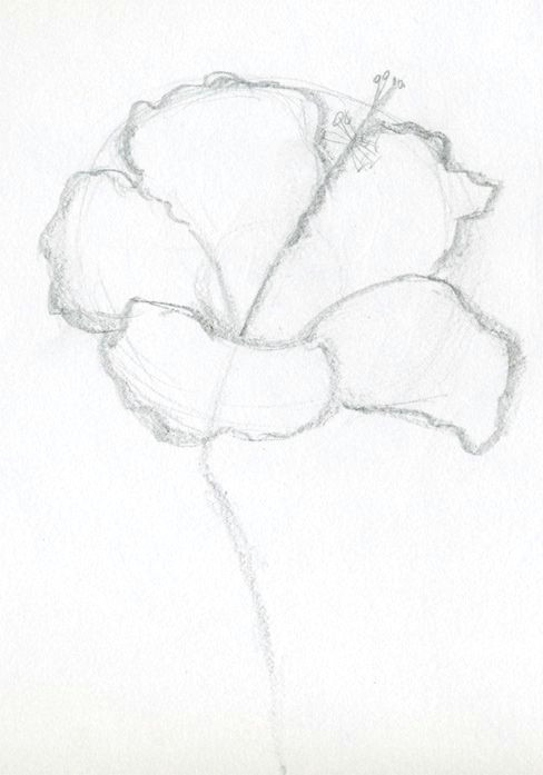 Hibiscus Drawing Easy Drawings that are Anime Eaassy Drawings Of Hibiscus