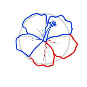 Hibiscus Drawing Easy Pin by Sami Hunsaker On How to Draw Hawaiian Flower
