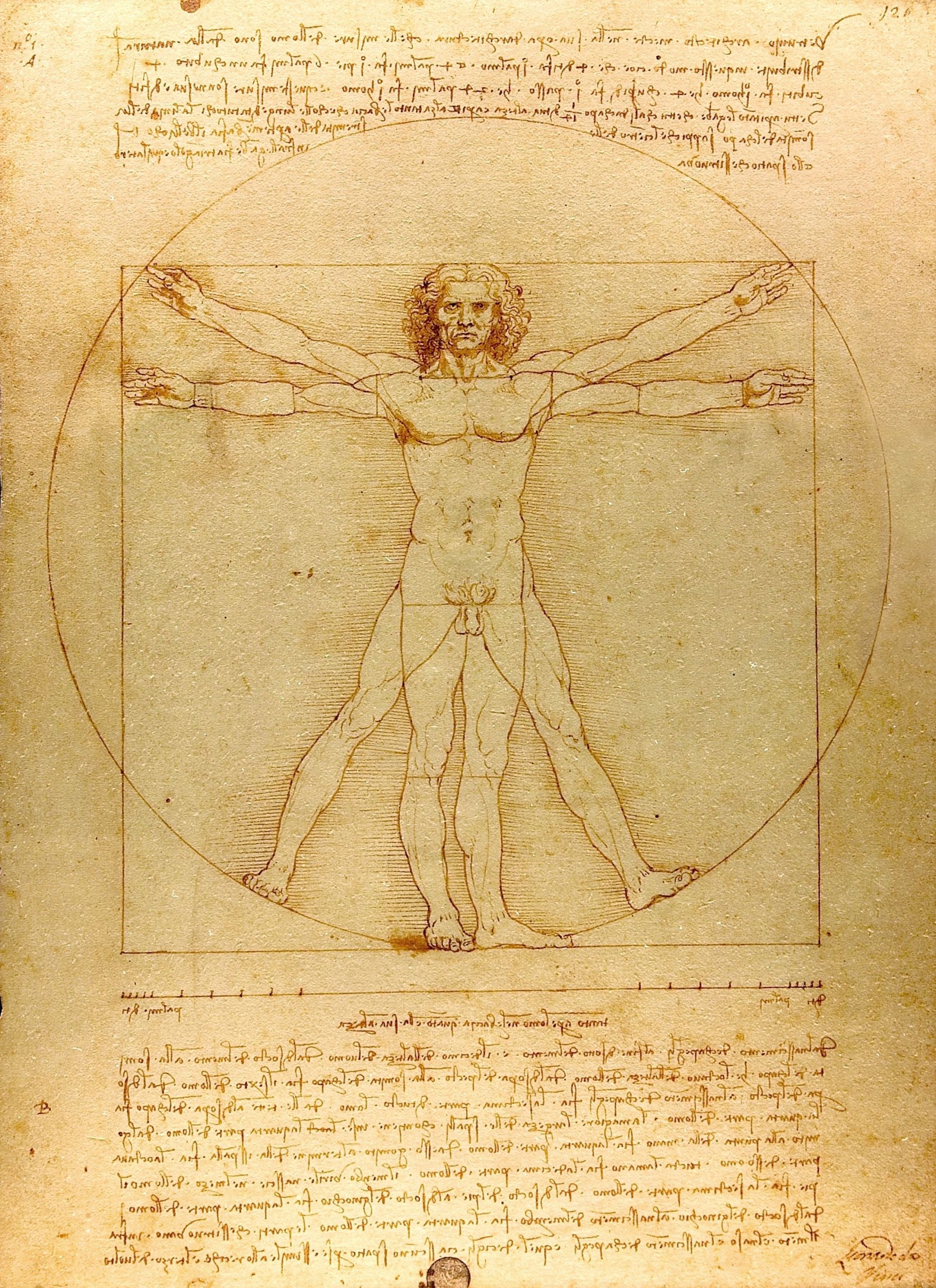 History Drawings Easy Drawing Wikipedia