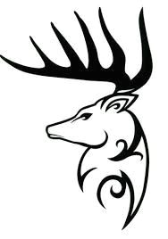 How to Draw A Deer Head Easy Deer Skull Drawing Step by Step Valledeilaghi