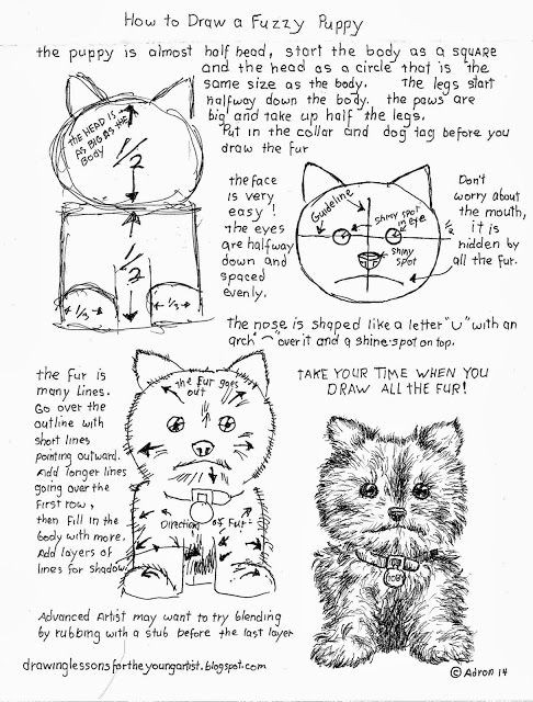 How to Draw A Dog Nose Easy How to Draw A Fluffy Dog More Worksheets are at My Blog