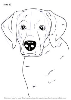 How to Draw A Dog Realistic but Easy 27 Best Draw Images In 2019 Drawings Art Drawings Sketches