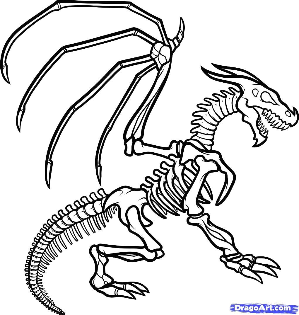 How to Draw A Easy Cute Dragon Dragon Skeleton How to Draw Manga Anime Cartoon Dragon